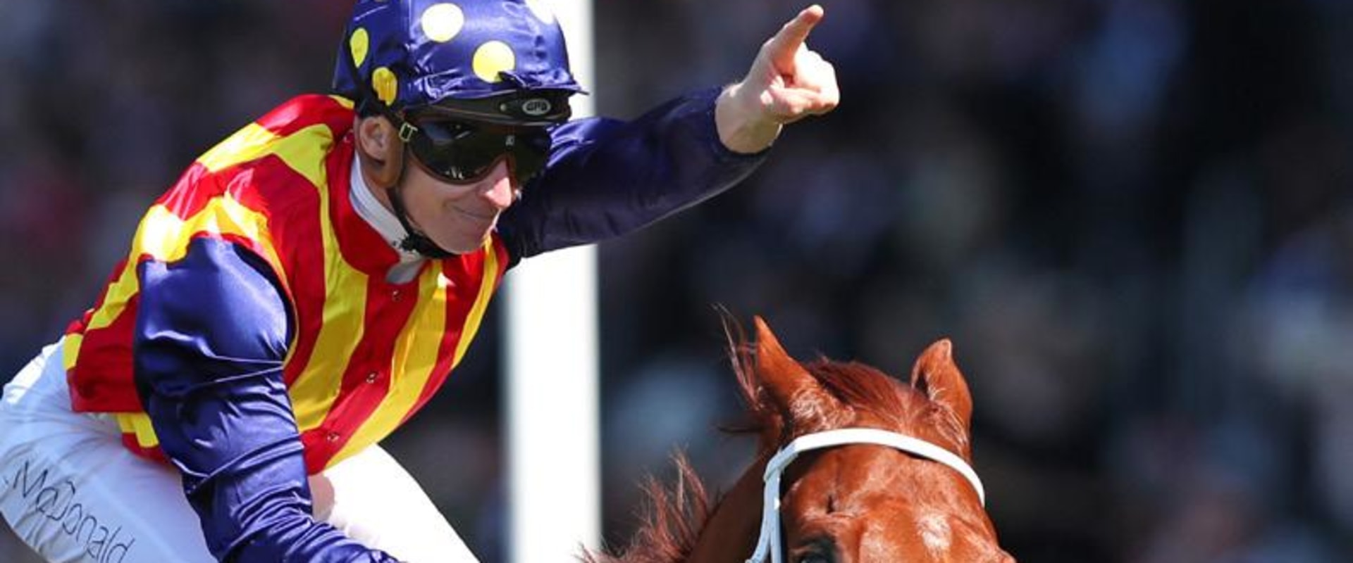 Automated Bet Placement and Execution: Streamlining Your Horse Racing Trading
