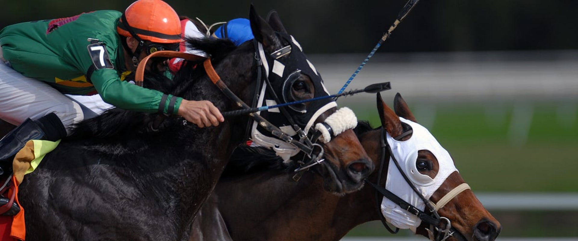 How to Customize and Control Your Automated Horseracing Trading Software