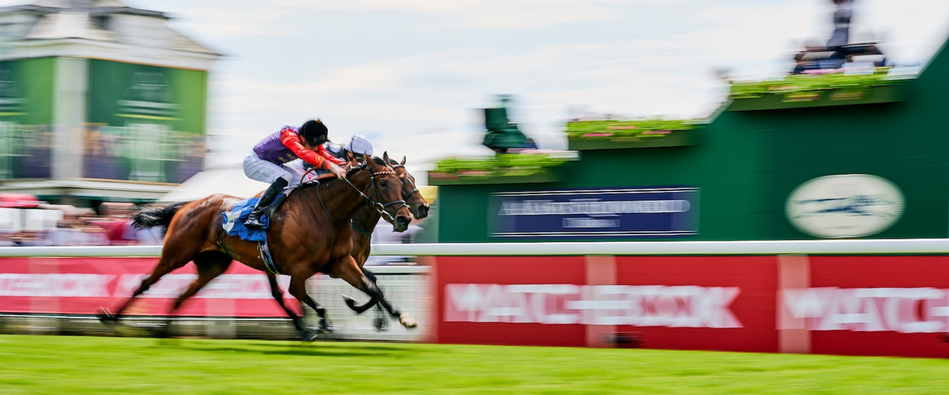 Automated Horseracing Trading Software: Everything You Need to Know