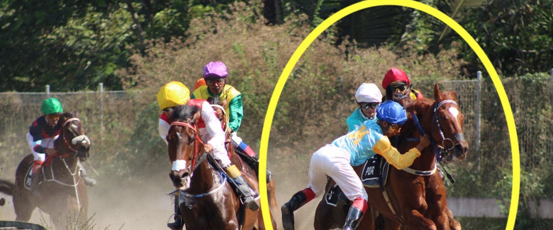 Automated Horseracing Trading Software: Accuracy and Success Rates