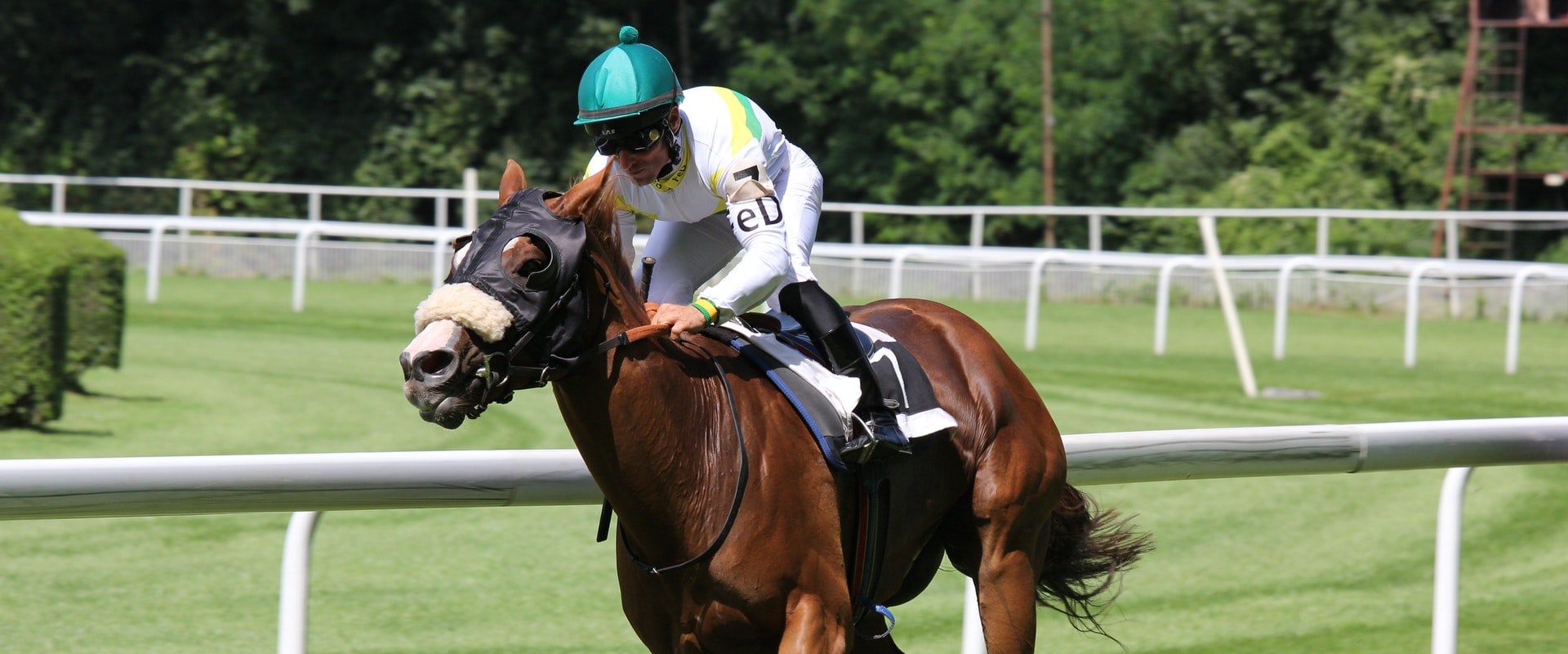 Minimization of Human Error in Automated Horseracing Trading Software