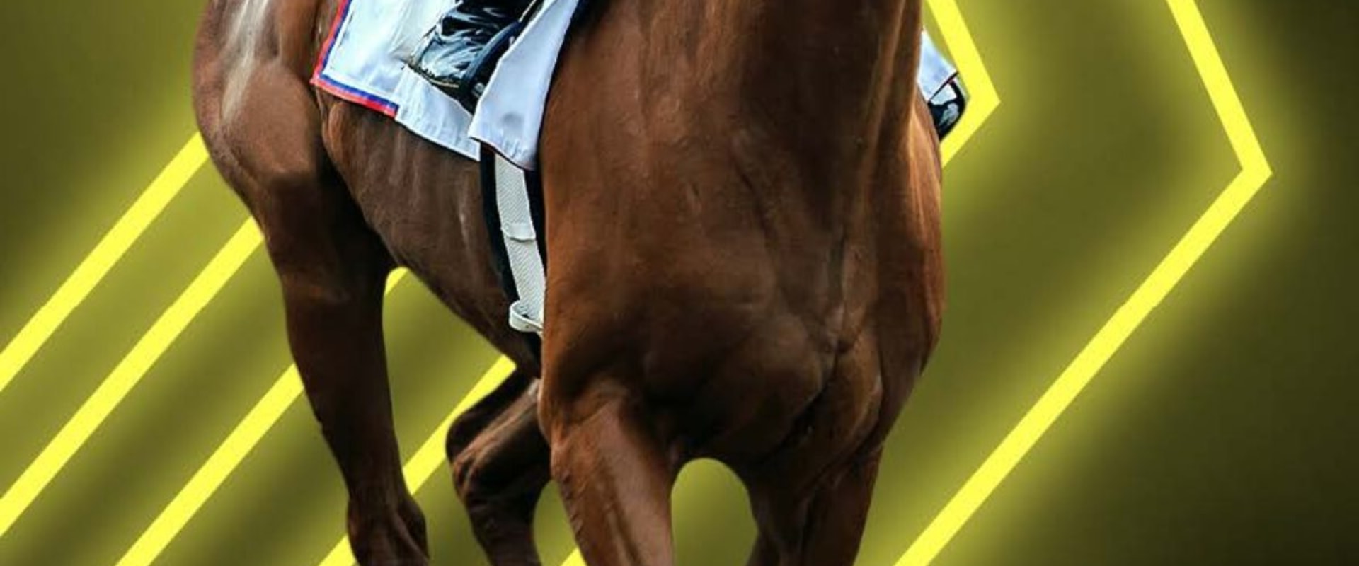 Automated Horseracing Trading Software: The Ultimate Solution for Automated Betting and Trading