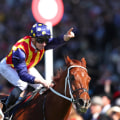 Automated Bet Placement and Execution: Streamlining Your Horse Racing Trading
