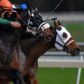 How to Customize and Control Your Automated Horseracing Trading Software