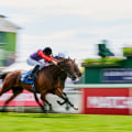 Automated Horseracing Trading Software: Everything You Need to Know