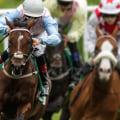 Automated Horseracing Trading Software: Features, Benefits, and Customer Reviews