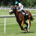 Minimization of Human Error in Automated Horseracing Trading Software
