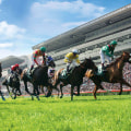 Automated Horseracing Trading Software: A Comprehensive Overview of Customer Satisfaction