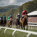 An Introduction to Automated Horseracing Trading Software: Understanding the Differences from Manual Trading