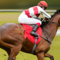 Automated Horseracing Trading Software: A Comprehensive Look at Pricing and Cost Comparison