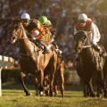 Exploring the Speed and Efficiency Differences of Automated Horseracing Trading Software