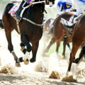 How to Easily Automate Your Horse Racing Betting and Trading Process