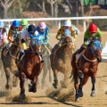 How Automated Horseracing Trading Software Can Save You Time and Effort