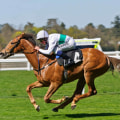 Automated Horseracing Trading Software: Streamlining Your Betting and Trading Process