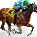 Expert Opinions on Automated Horseracing Trading Software: What You Need to Know