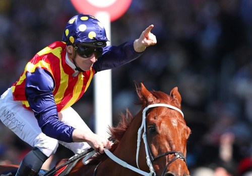 Automated Bet Placement and Execution: Streamlining Your Horse Racing Trading