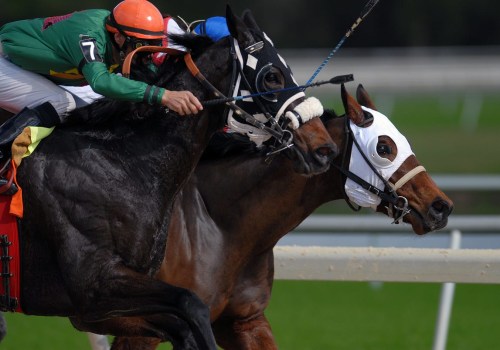 How to Customize and Control Your Automated Horseracing Trading Software