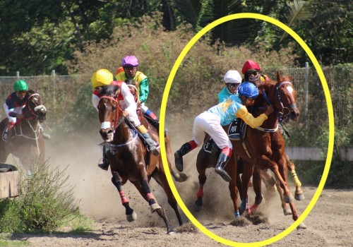 Automated Horseracing Trading Software: Accuracy and Success Rates