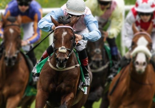 Automated Horseracing Trading Software: Features, Benefits, and Customer Reviews