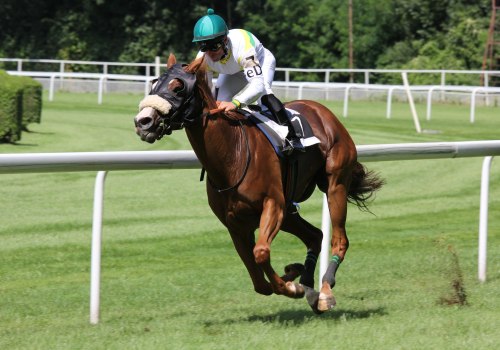 Minimization of Human Error in Automated Horseracing Trading Software