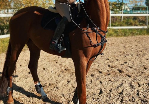 Automated Horseracing Trading Software: Exploring Features and Capabilities