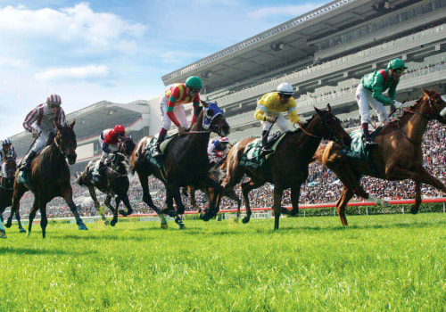 Automated Horseracing Trading Software: A Comprehensive Overview of Customer Satisfaction