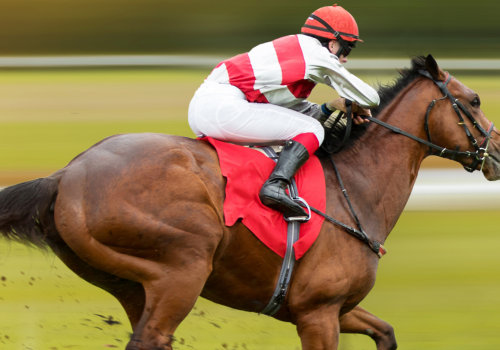 Automated Horseracing Trading Software: A Comprehensive Look at Pricing and Cost Comparison