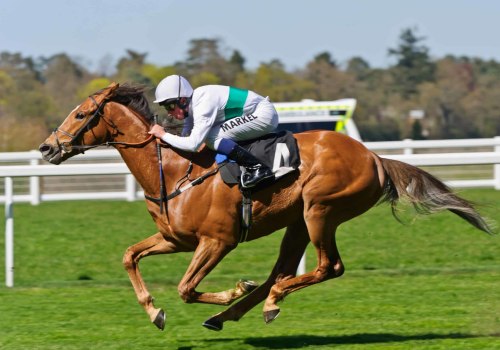 Automated Horseracing Trading Software: The Ultimate Tool for Streamlining Betting and Trading