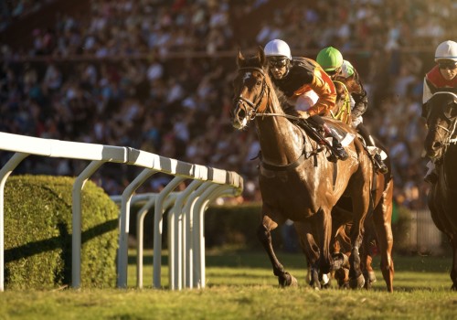 Exploring the Speed and Efficiency Differences of Automated Horseracing Trading Software
