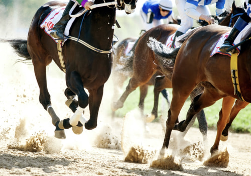 How to Easily Automate Your Horse Racing Betting and Trading Process
