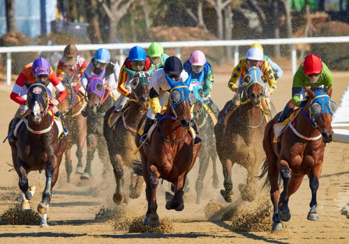 How Automated Horseracing Trading Software Can Save You Time and Effort