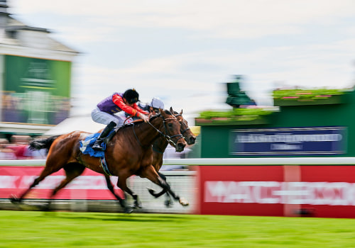 Automated Horseracing Trading Software: Insider Tips and Industry Insights