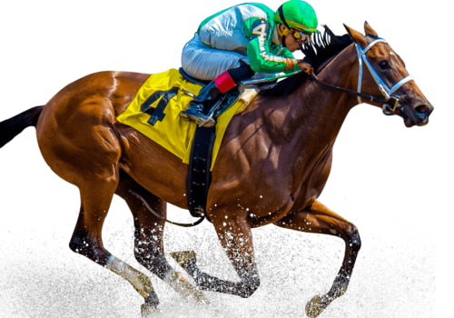 Expert Opinions on Automated Horseracing Trading Software: What You Need to Know